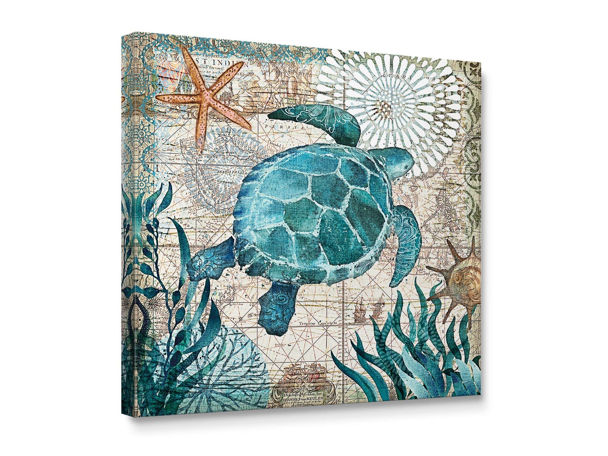 Niwo ART - Turtle, Sea Animail Canvas Wall Art Home Decor,Stretched Ready to Hang (12"x12"x3/4")