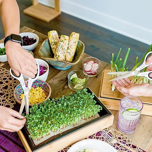 Miniatura 7 de HAMAMA Home Microgreens Kit de cultivo para cultivar microverdes frescos en interiores cada semana, preparación en 30 segundos, simplemente añade