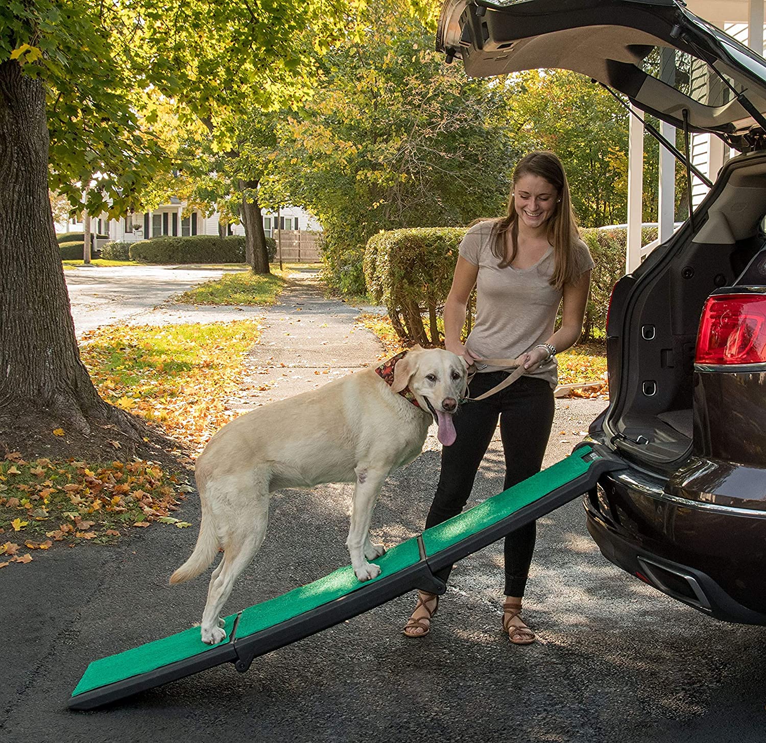 Pet Gear Travel Lite Ramp with SuperTrax Surface for Maximum Traction