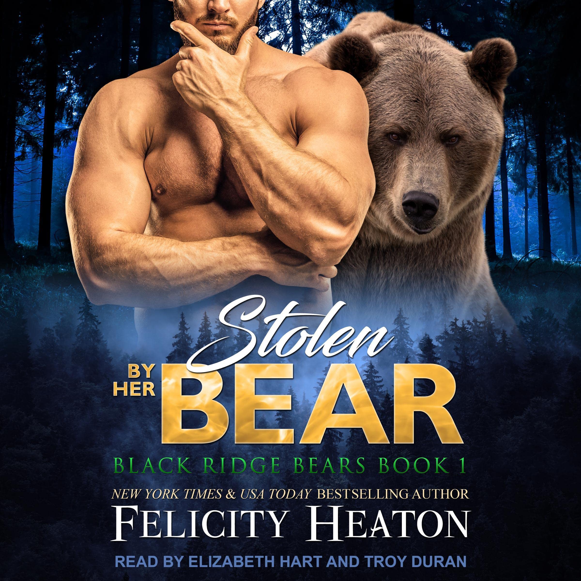 Cover art for Stolen by her Bear