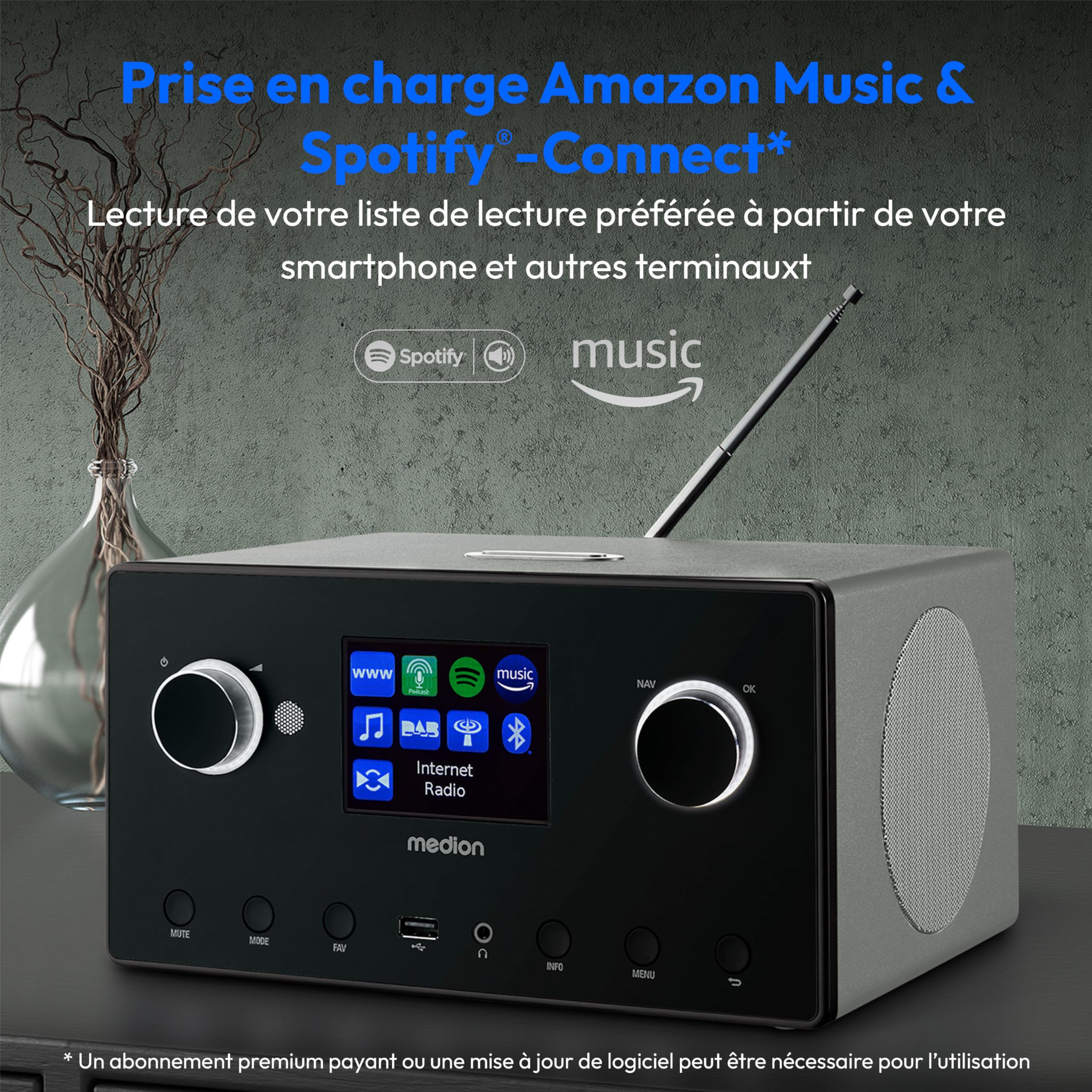 MEDION P85444 2.1 Radio Internet avec Subwoofer (Dab+, Radio FM, Spotify, WiFi, Bluetooth, Streaming, égaliseur, écran Couleur, USB, AUX, Réveil, Fonction Snooze, Sleep Timer) Titane