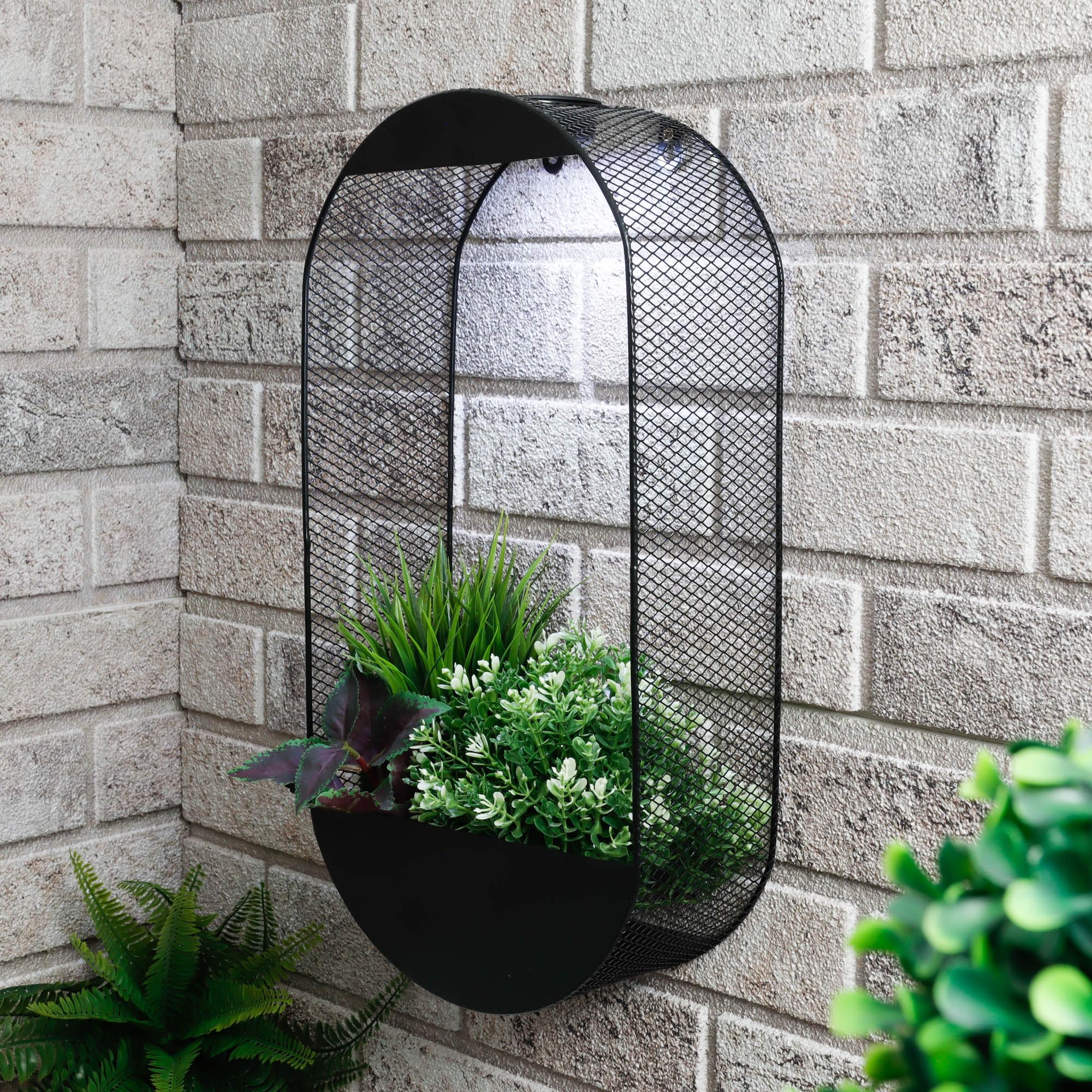 Gardenwize - Solar Pwered Warm LED Real Flower Wall Planter Decorative Stylish Indoor & Outdoor Ceiling and Wall Planter with Recharable Solar Back-up For Home,Garden (Oval)
