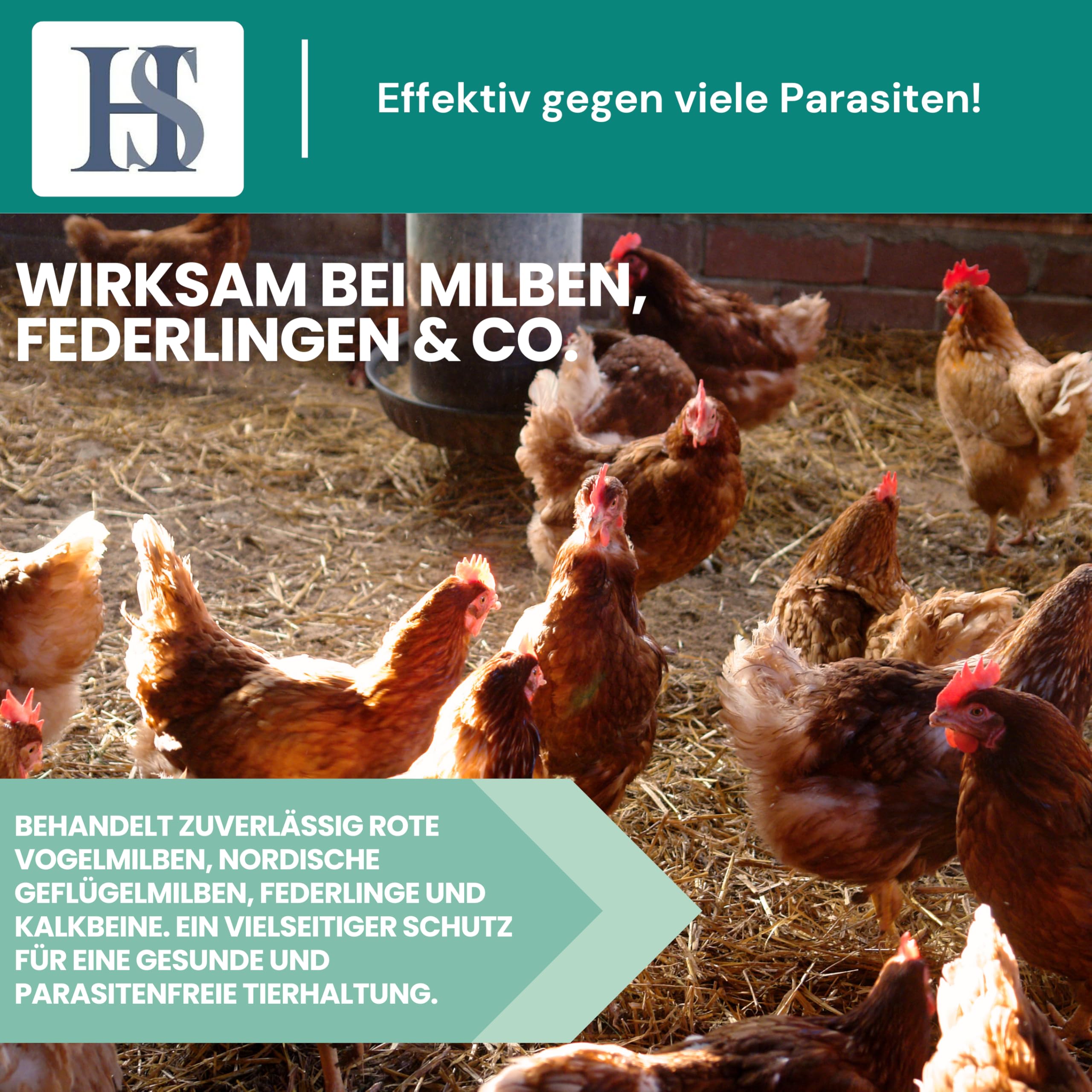 HS Spot on Bird – Pflegemittel für Vögel und Geflügel zur Vorbeugung gegen rote Vogelmilben, nordische Geflügelmilben, Federlinge, Kalkbeine etc. – 100 ml