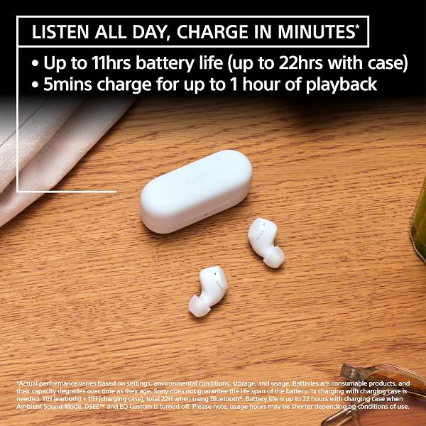 Sony Sony WF-C510 Truly Wireless in-Ear Bluetooth Earbud Headphones with up to 22-Hour Battery, Multipoint-Connection, Mic and IPX4 Water Resistance, Black - New in use