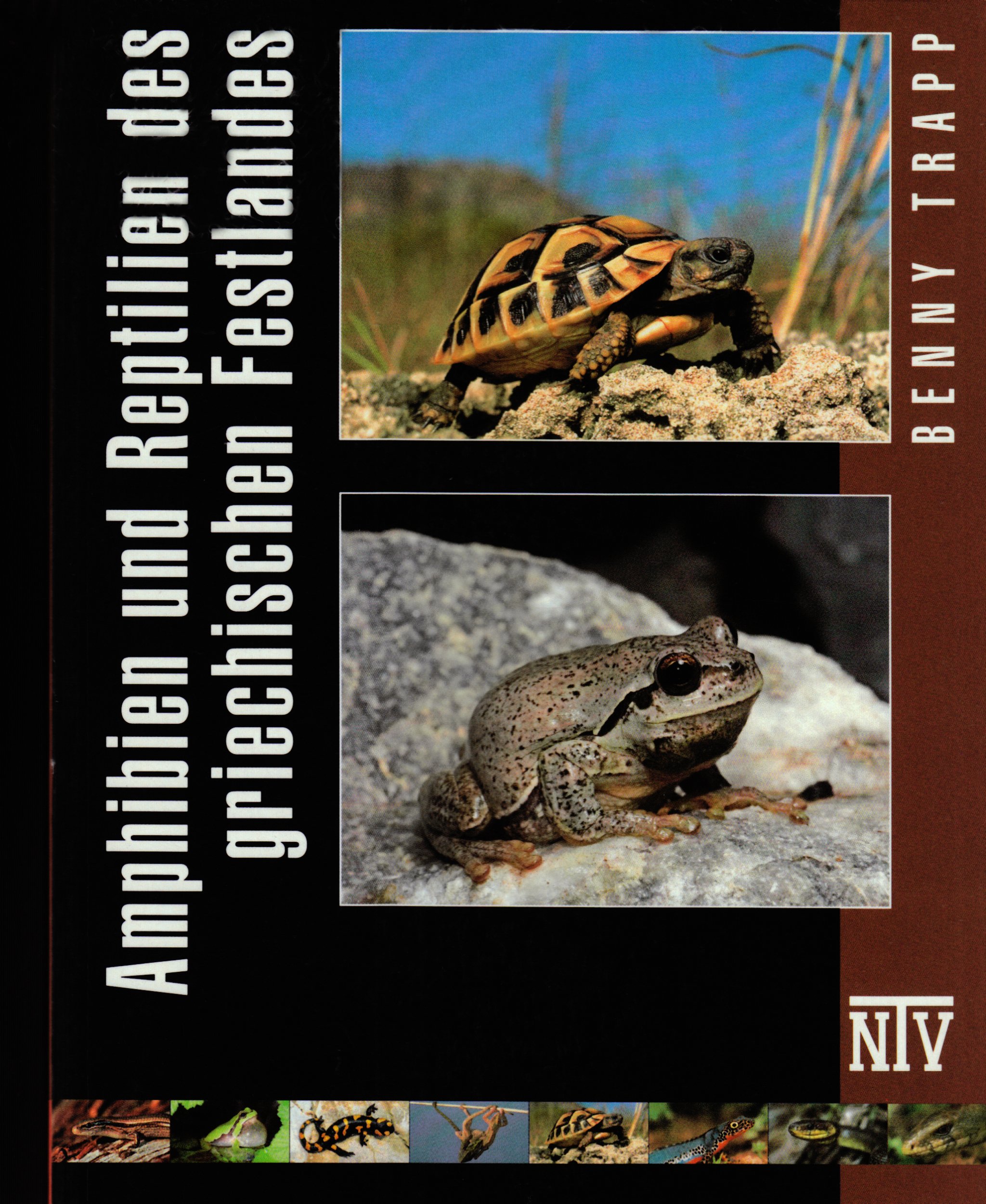 Reptilien und Amphibien des Griechischen Festlandes