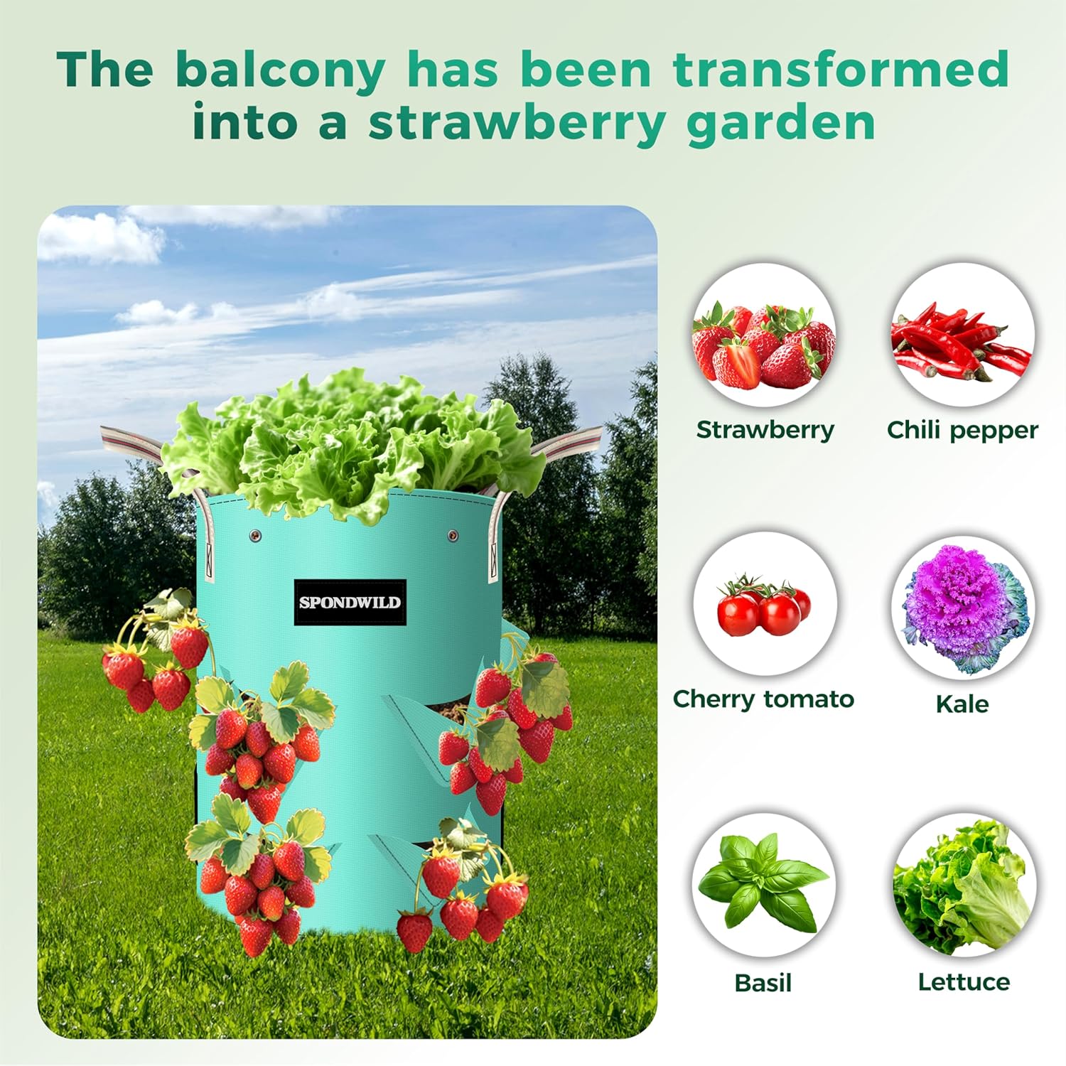 3 Pack 10 Gallon Strawberry Grow Bags, Heavy Duty PE Plant Pots with Breathable Windows and Drainage Holes, Ideal for Strawberries, Veggies, Flowers and Balcony - Image 3