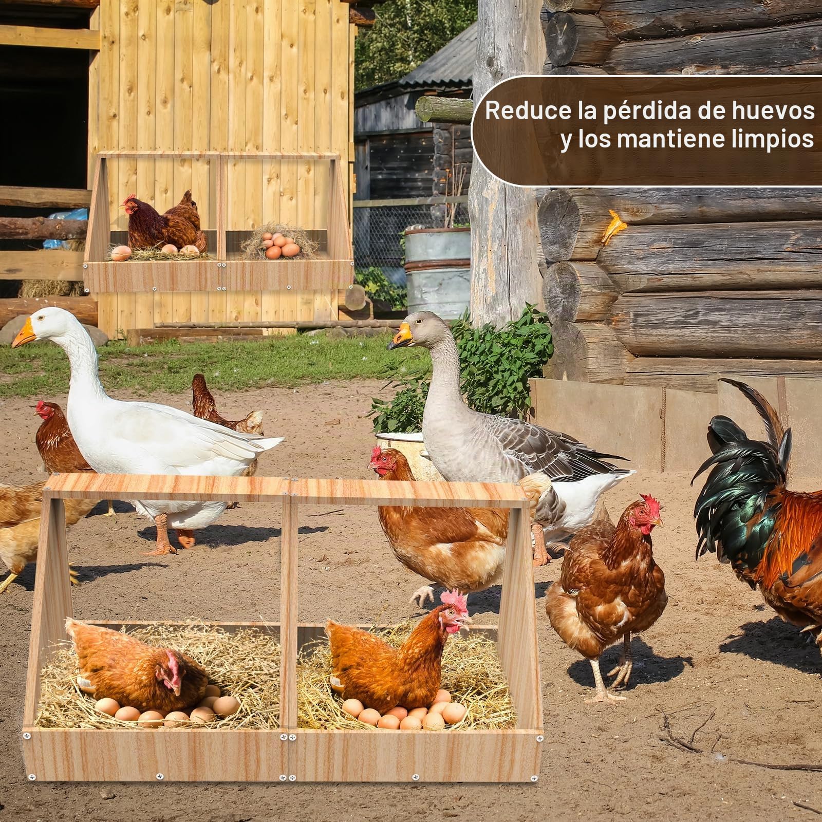 Ponederos para Gallinas, Juego de 2 Cajas para Gallinero de Madera para Poner Huevos, Nidos de Pollo para Gallinas y Patos, 35,3 x 35,3 x 34,2 cm