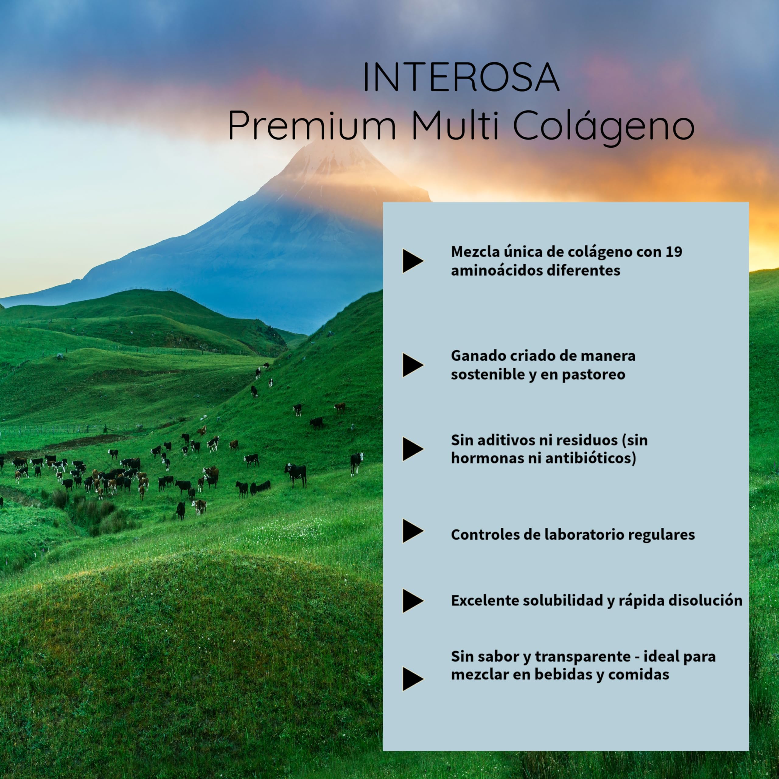 colágeno en polvo 500 g - péptidos de colágeno tipo 1 2 3 5 10 - complejo de colágeno premium insípido - proteína hidrolizada súper soluble