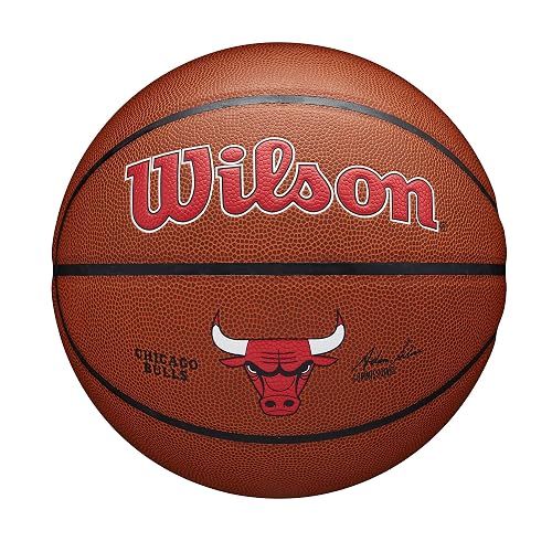 Wilson NBA Team Alliance Basketballs - product photo (Basketballs) — ScooterReviewPro review