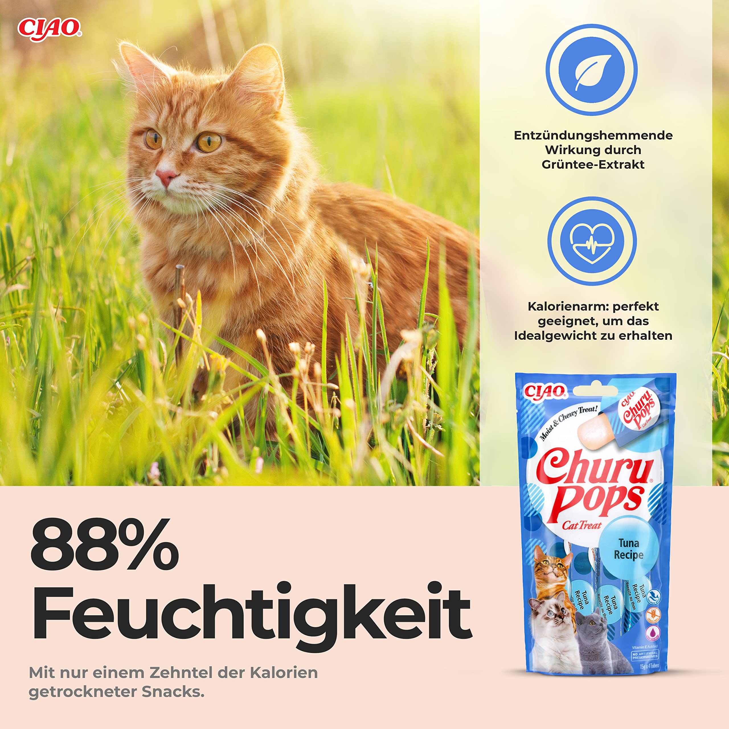 INABA Churu Pops Snack per Gatti in Stick di Gelatina al Tonno - 12 Pack (48 Stick x 15gr) - Cibo per Gatti Sano e Gustoso, Texture Morbida - Snack Gatto Senza Conservanti o Coloranti Artificiali