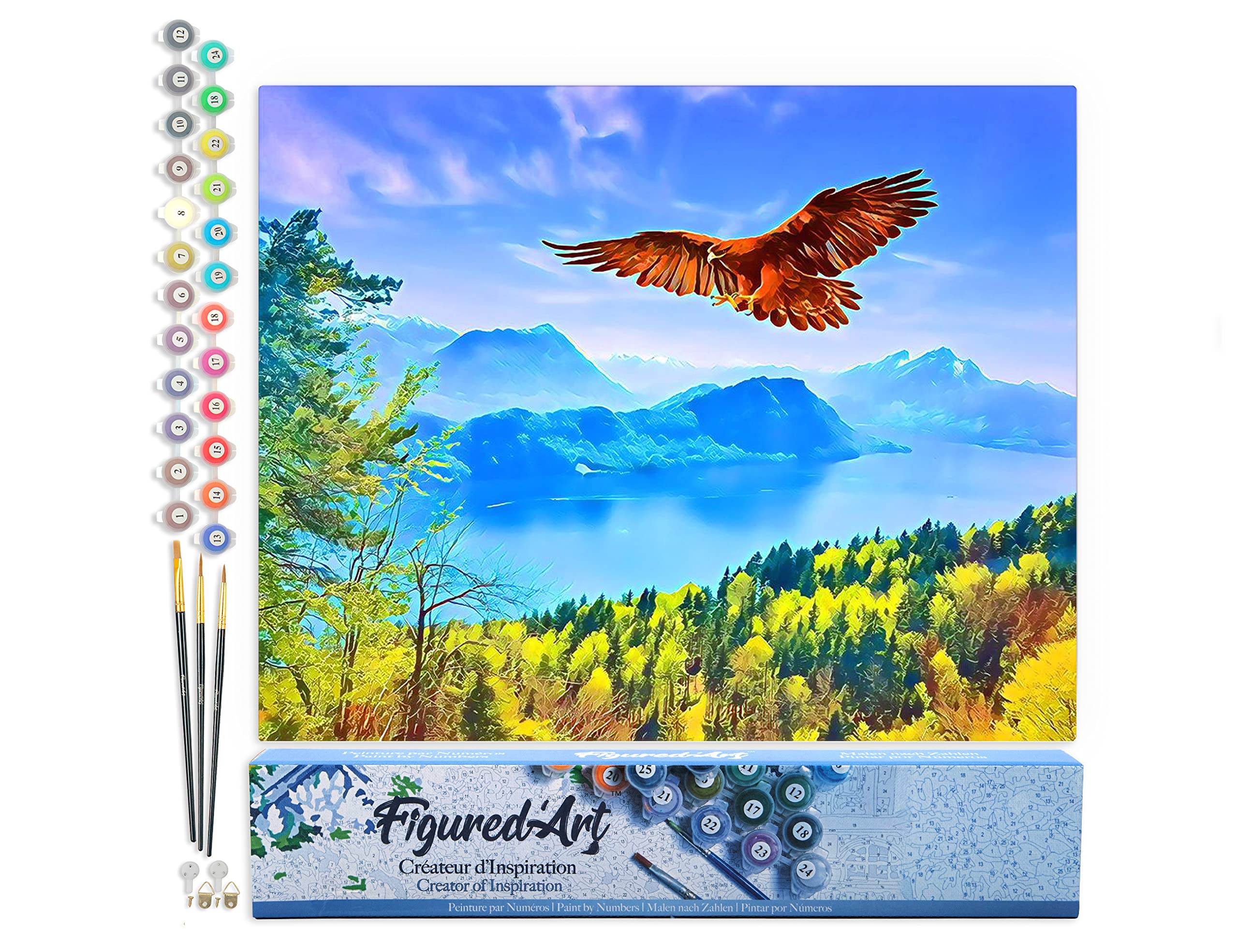 Figured'Art Paint by Numbers for Adults Eagle and Landscape in Switzerland 40x50cm - Craft Art Painting DIY Kit Rolled Canvas Without Frame