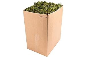 SuperMoss Mountain Moss Box 5 lb, Vibrant Evergreen
