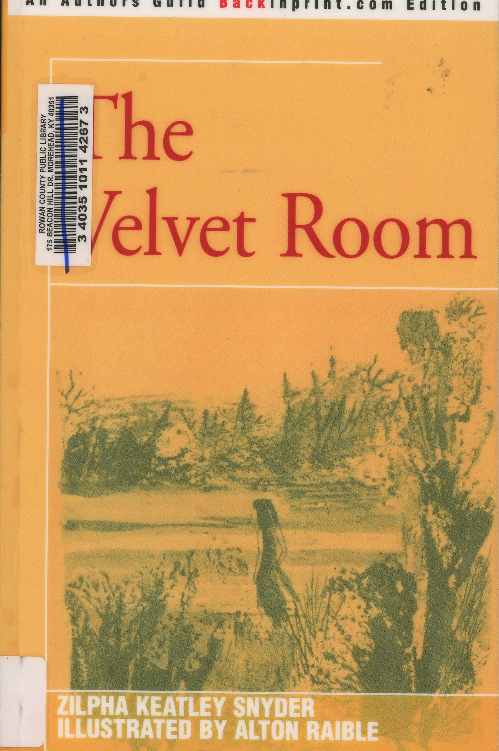 The Velvet Room Paperback – June 7, 2004