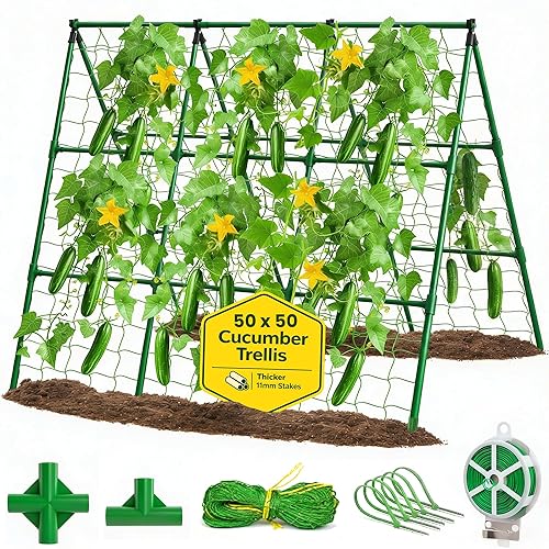 50x50 Cucumber Trellis for Raised Bed - A Frame Garden
