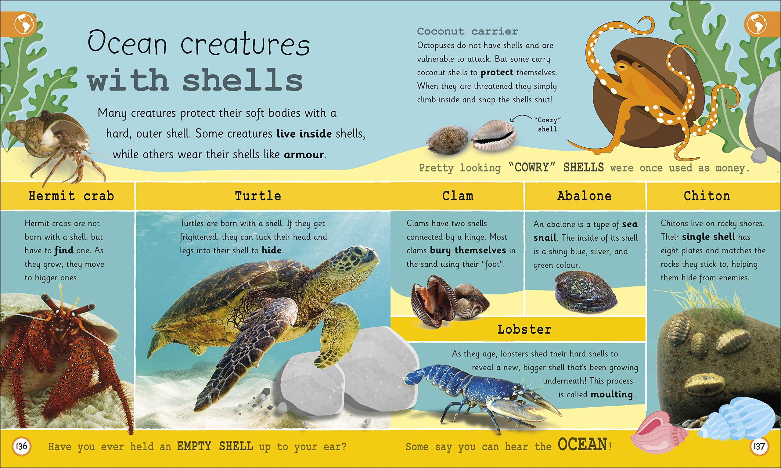 My Encyclopedia of Very Important Oceans (My Very Important Encyclopedias)