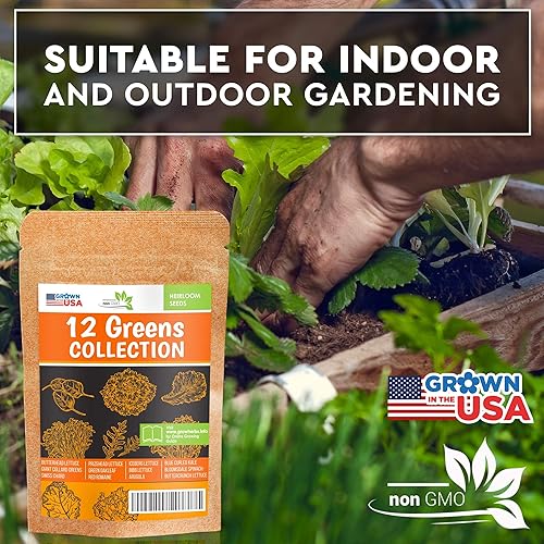 Miniatura 3 de Paquete de 12 semillas de lechuga y verduras, reliquia y sin OMG, cultivado en Estados Unidos, jardín interior o exterior, iceberg, rúcula, col