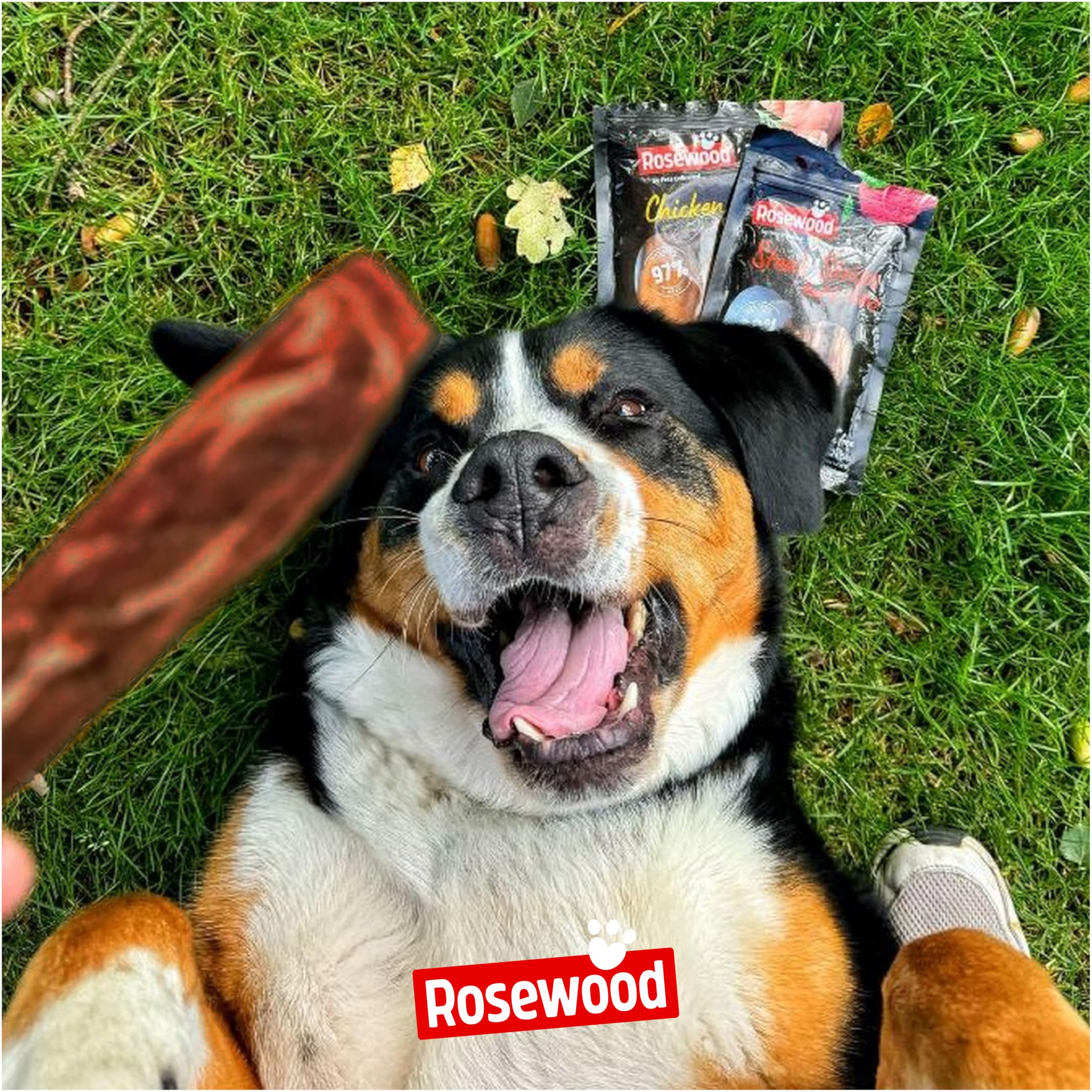 Rosewood Steak Strips Canard et Colin – Friandise Tendre pour Chien, Riche en Viande et Poisson, Faible en Graisses, sans céréales, sans additifs artificiels, 100 g