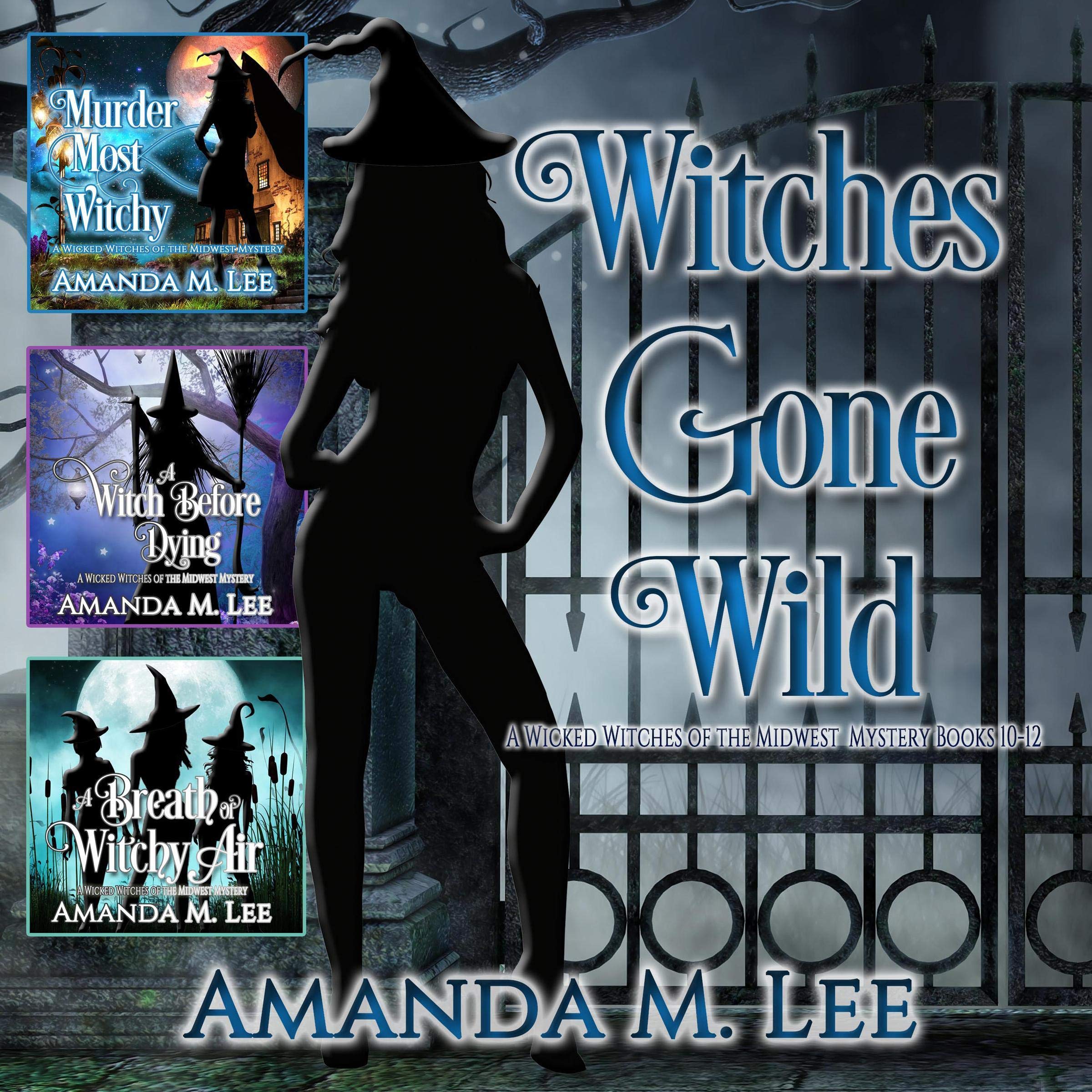 Cover art for Witches Gone Wild