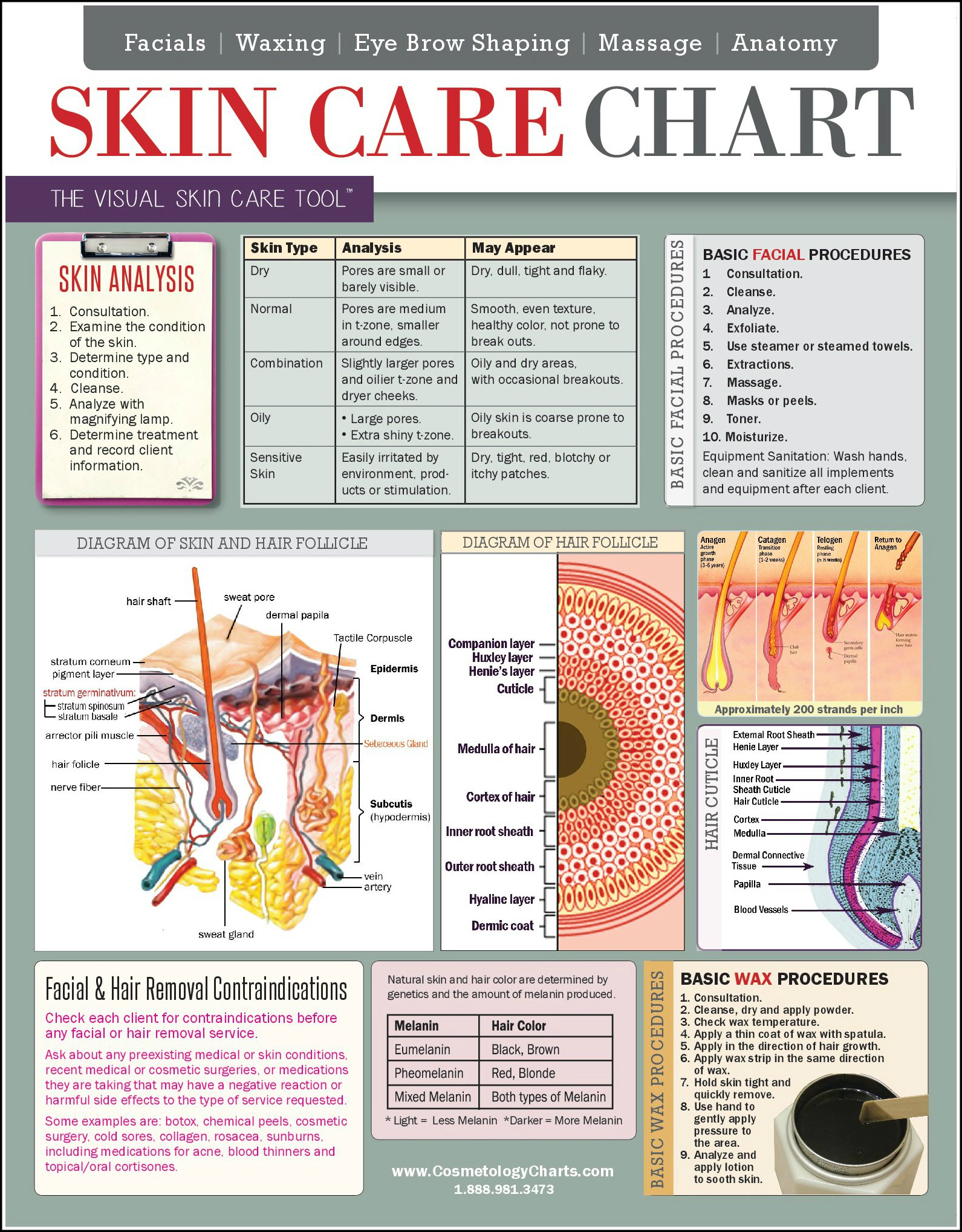 Buy Skin Care Chart 2 Sided Laminated Quick Reference Guide 