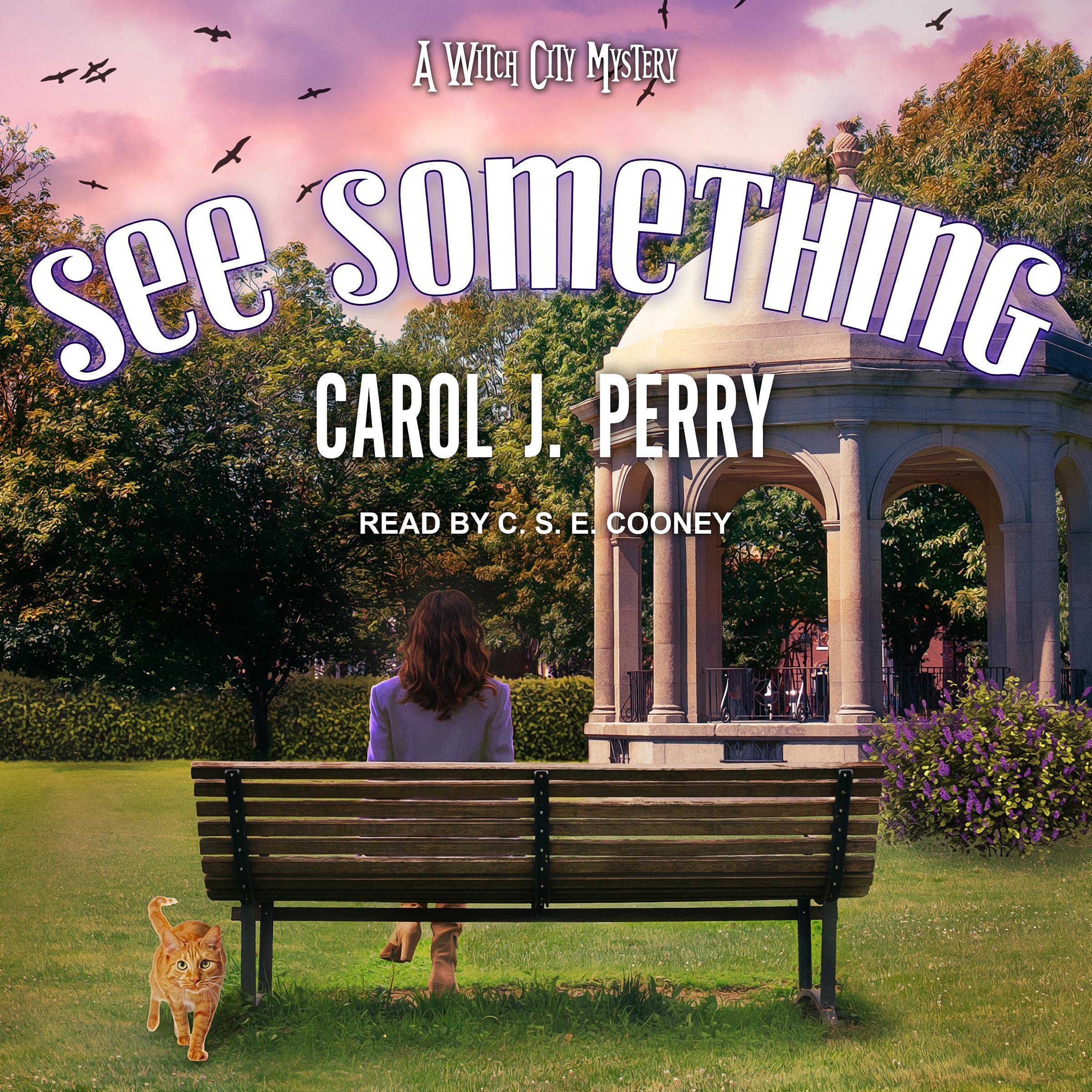 Cover art for See Something