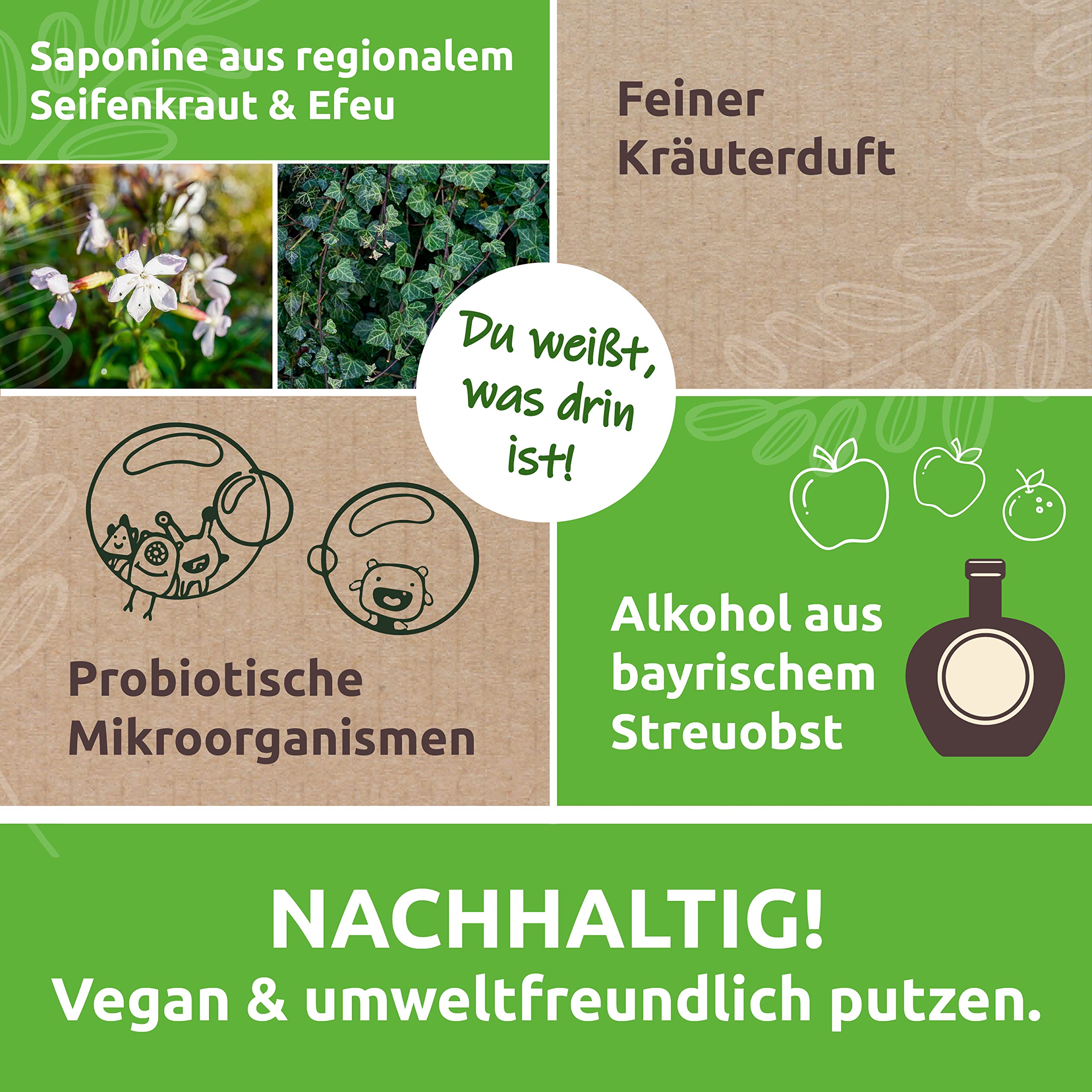 Fischer's EM-Chiemgau Sapalotta – Regionaler Allzweckreiniger mit Effektiven Mikroorganismen 5 L BiB – Seifenkraut & Efeu – Probiotischer Reiniger für alle Oberflächen – Vegan & ECOCERT zertifiziert
