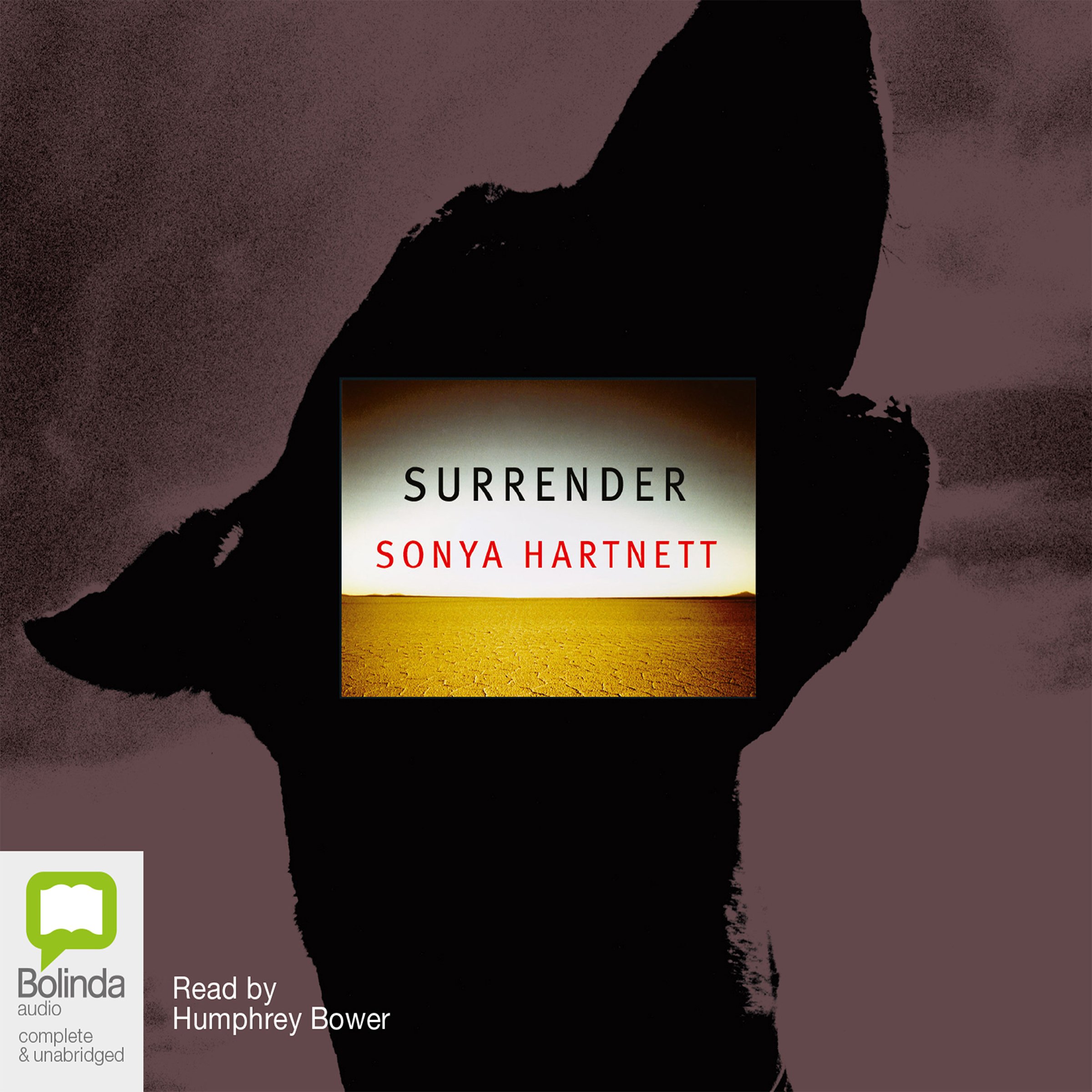 Cover art for Surrender