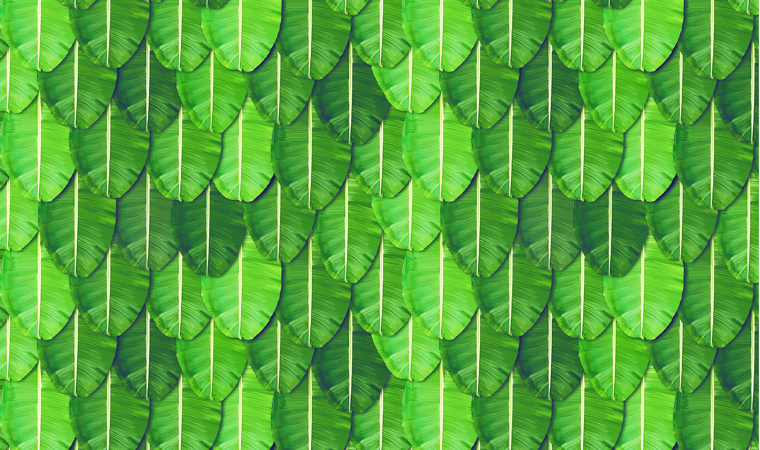 Ashvath Wedding Backdrop Cloth Banana Leaf for All Festivals/House Hold Functions/Haldi Function/Ceremonies Banana Leaf Design(Aaritaku) Design 8 Feet Width * 5 Feet Height (5 * 8) Washable Fabric (B0BGLLCQVY) Amazon Price History, Amazon Price Tracker