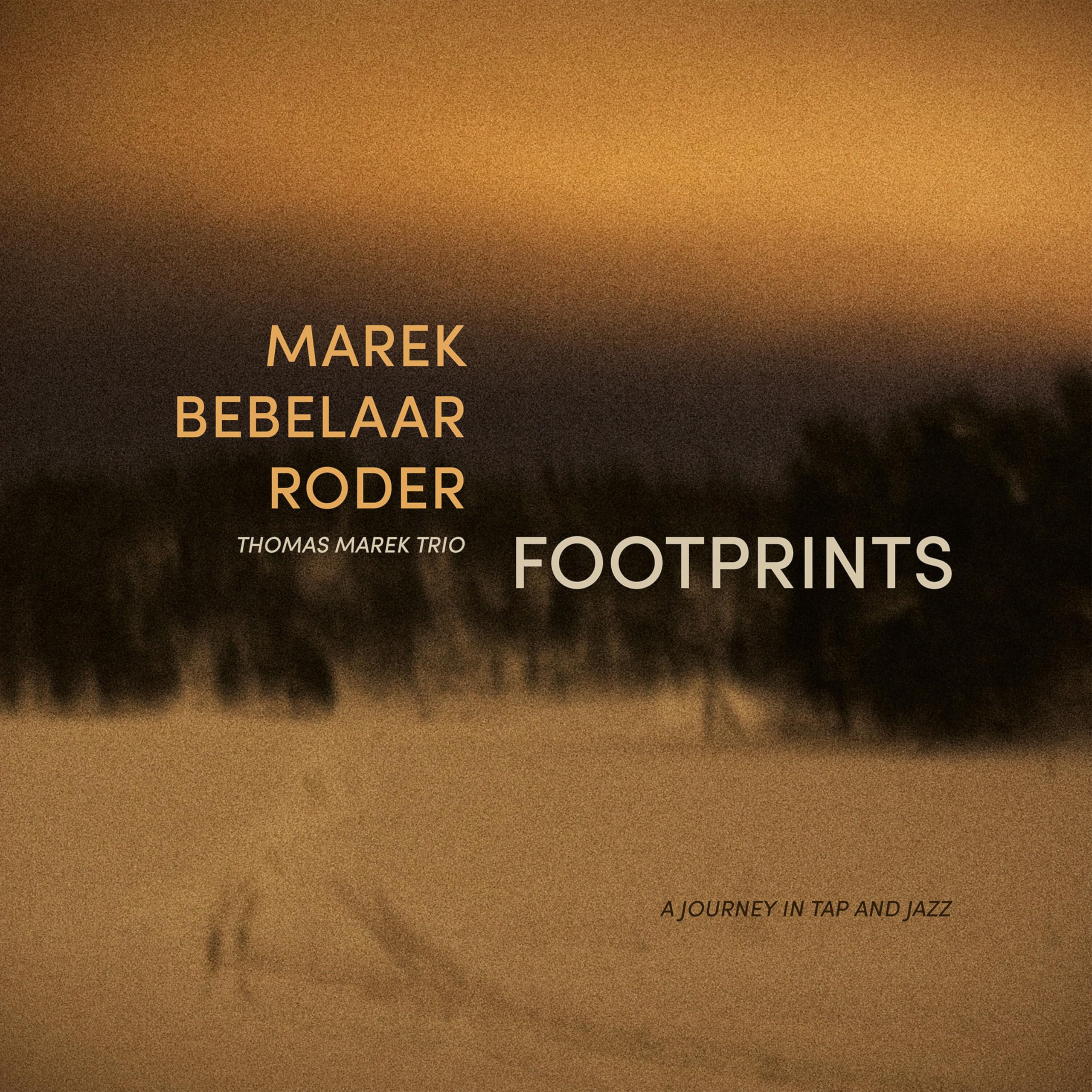 Footprints [VINYL]