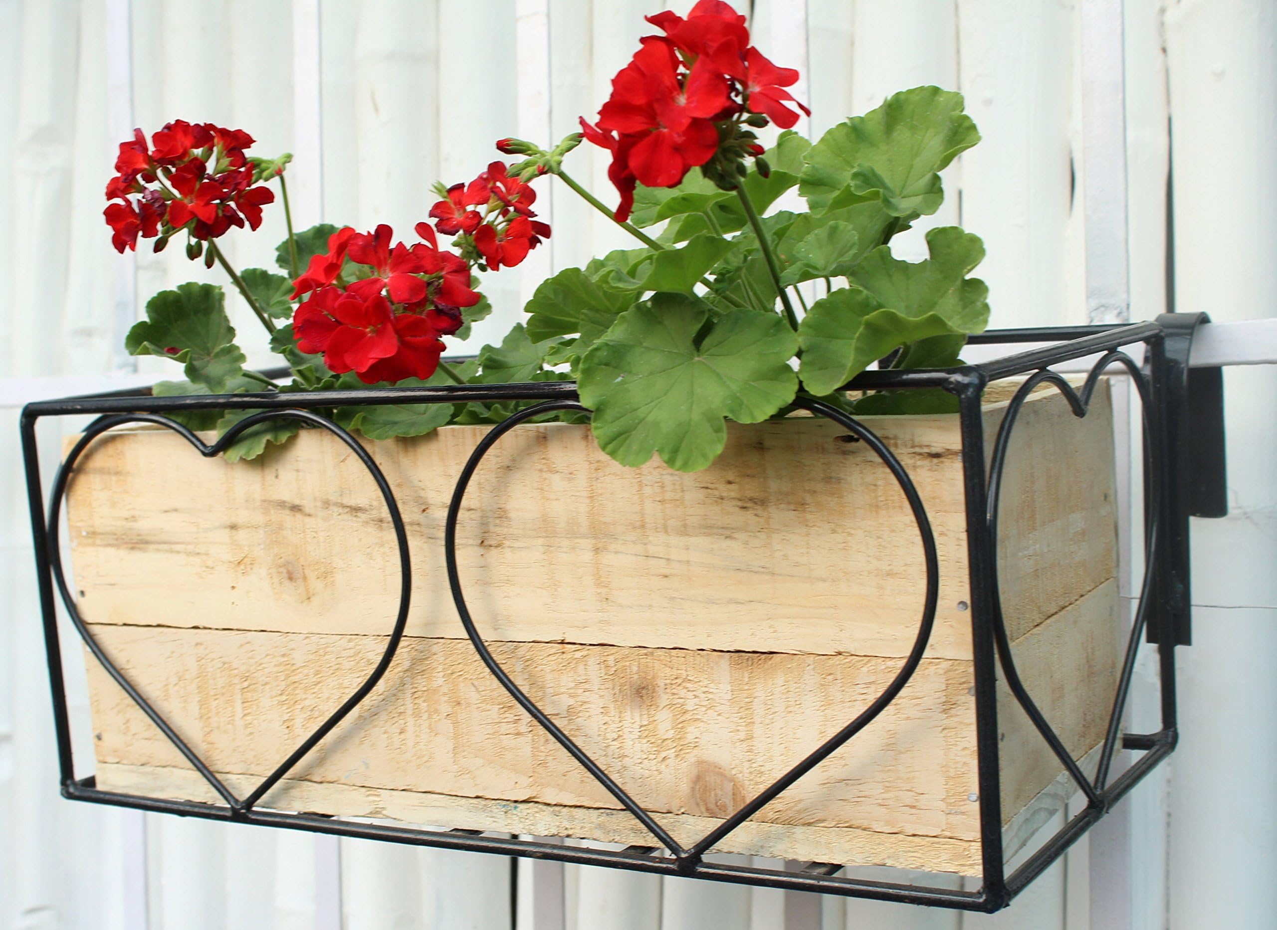 Green Gardenia Iron Heart Design Railing Planter with Wooden Boxl (Plain)