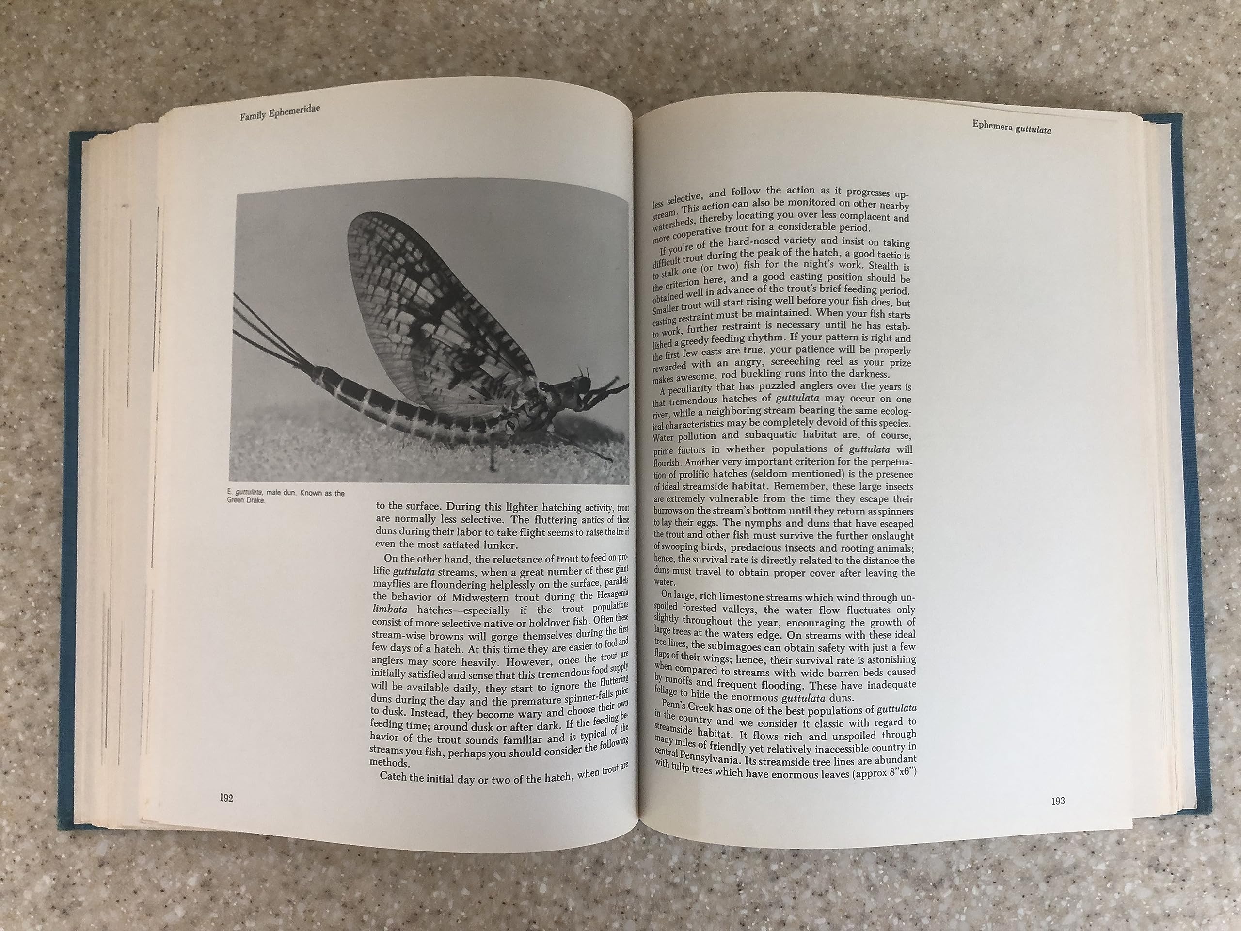 Hatches: A Complete Guide to Fishing the Hatches of North American Trout Streams