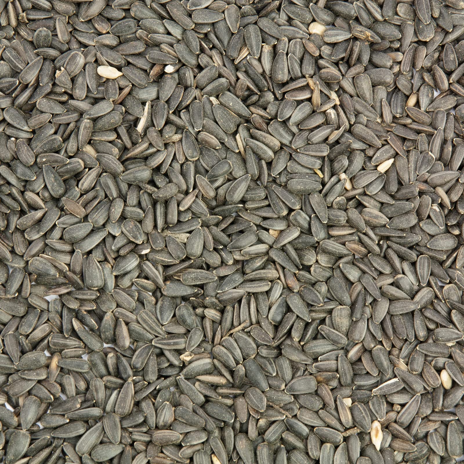 Sonnenblumenkerne schwarz, Vogelfutter 25 kg