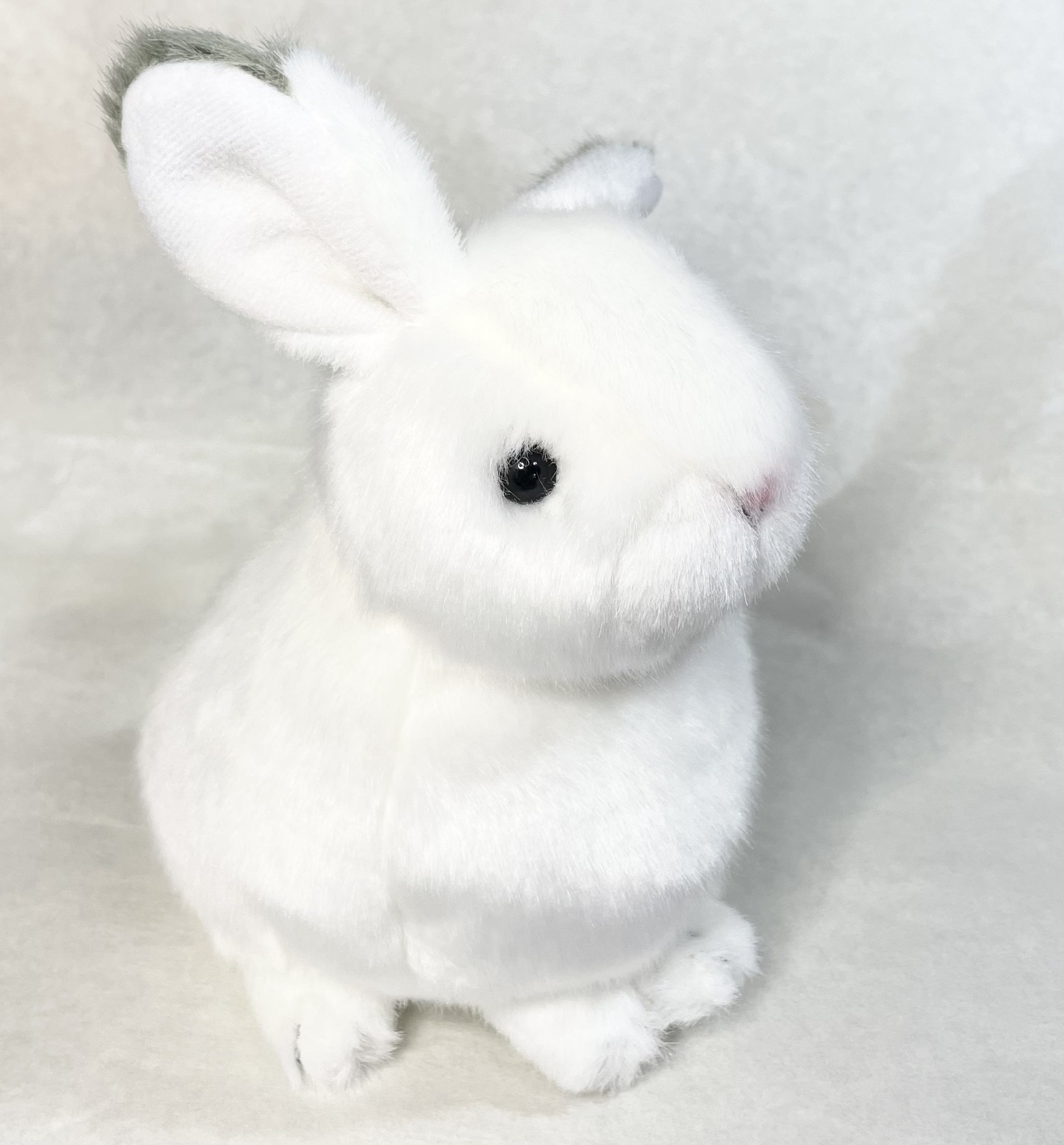 お客様イメージ