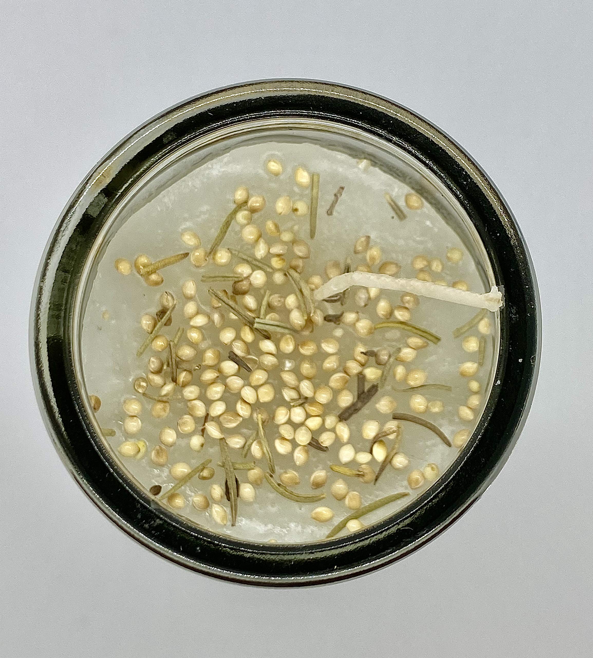 Corte y Juzgado Fixed Candle