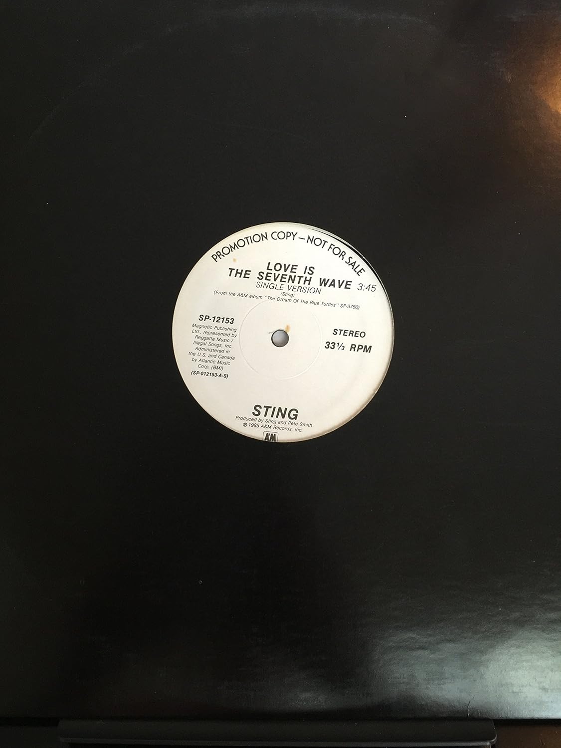 Love Is The Seventh Wave 12 Inch (12