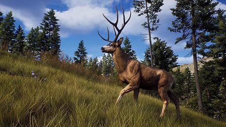 Way of the Hunter Standard - PC [Online Game Code]