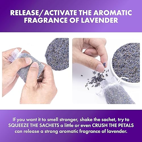 Miniatura 6 de Lavande Sur Terre Saquitos de lavanda francesa para cajones y armarios, aromas frescos, juego de 36, bolsitas de fragancia para el hogar para