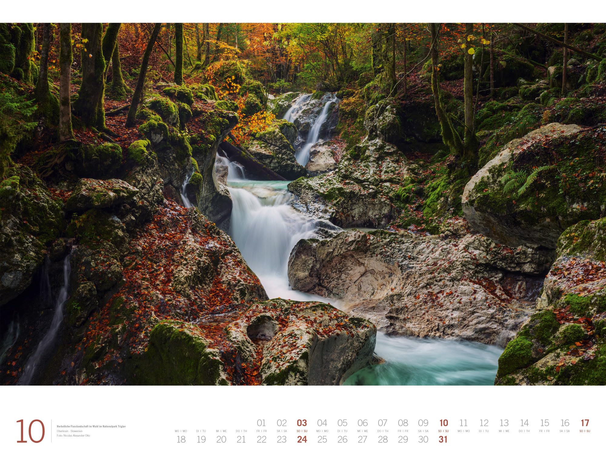 Wald Gallery Kalender 2027: Geschmackvoller Natur-Kalender im großen Querformat (66x50 cm) | Wälder und Bäume im Großformat
