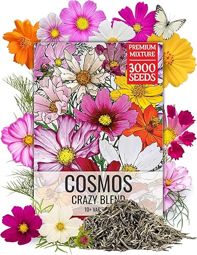 Miniatura 17 de Seed Needs Wildflower Seeds Cosmos Crazy Blend 1.5 onzas sin relleno Más de 10 variedades que incluyen conchas marinas, pureza y caramelo Cosmo