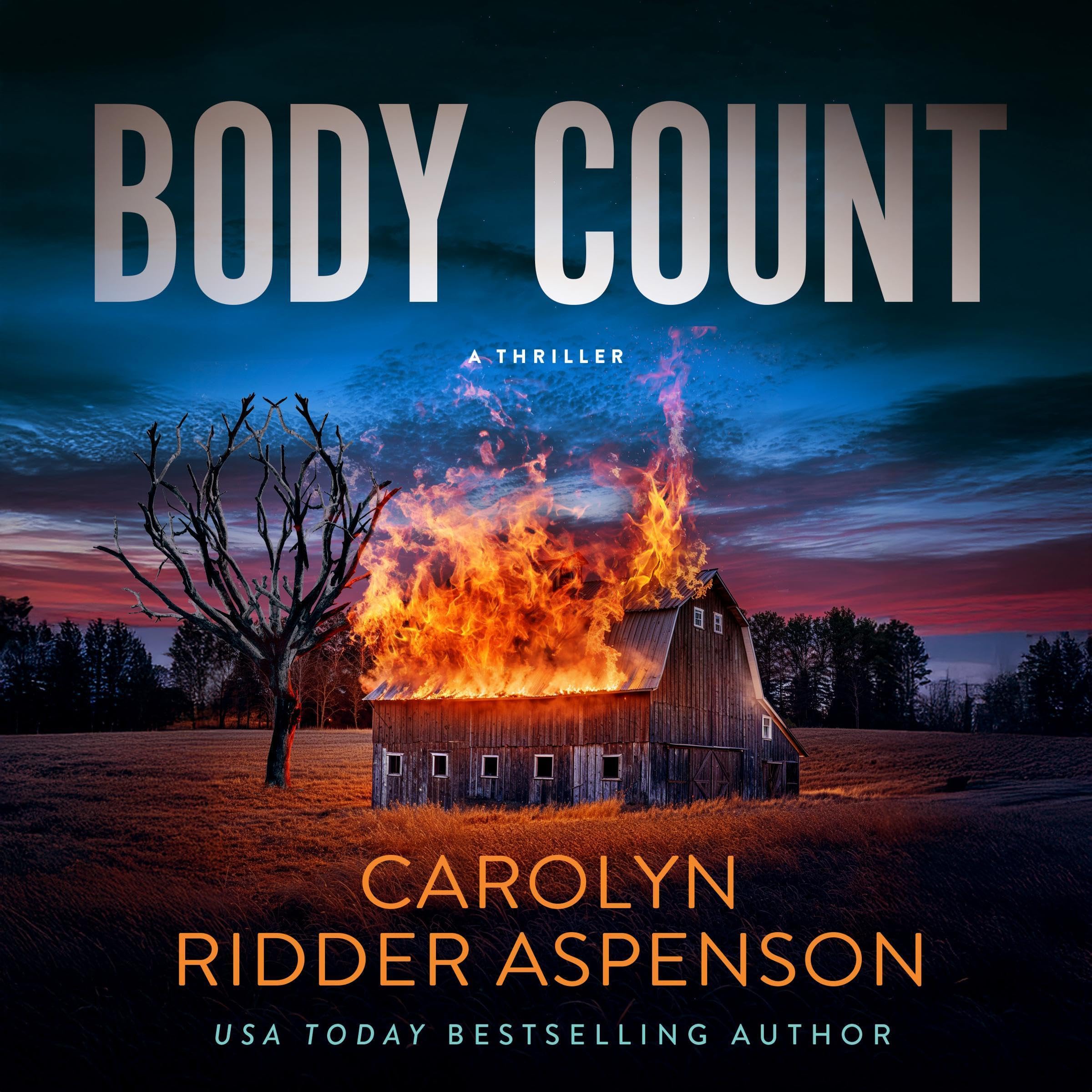 Cover art for Body Count