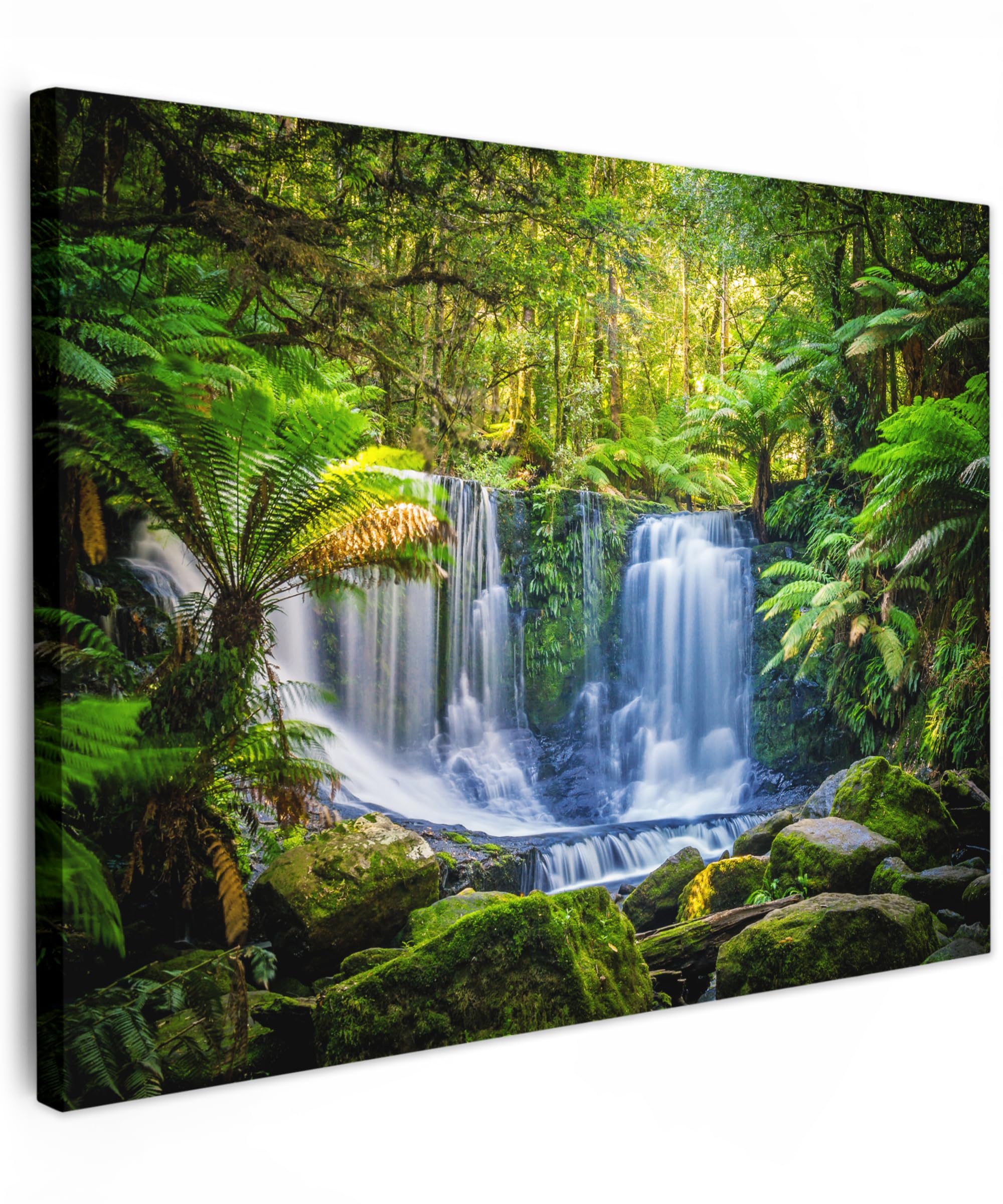 MuchoWow© Canvas Wall Art 16"x12" / 40x30 cm Decor Prints for Living Room Decorative Canvases Hall Artwork Jungle - Waterfall - Australia - Plants - Nature