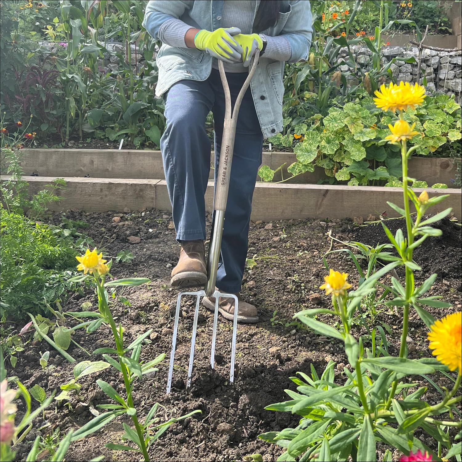 Spear & Jackson Traditional Stainless Steel Digging Fork, Heavy Duty Durable Stainless Steel Garden Tool, Ideal for Digging, Aerating, and Turning Soil