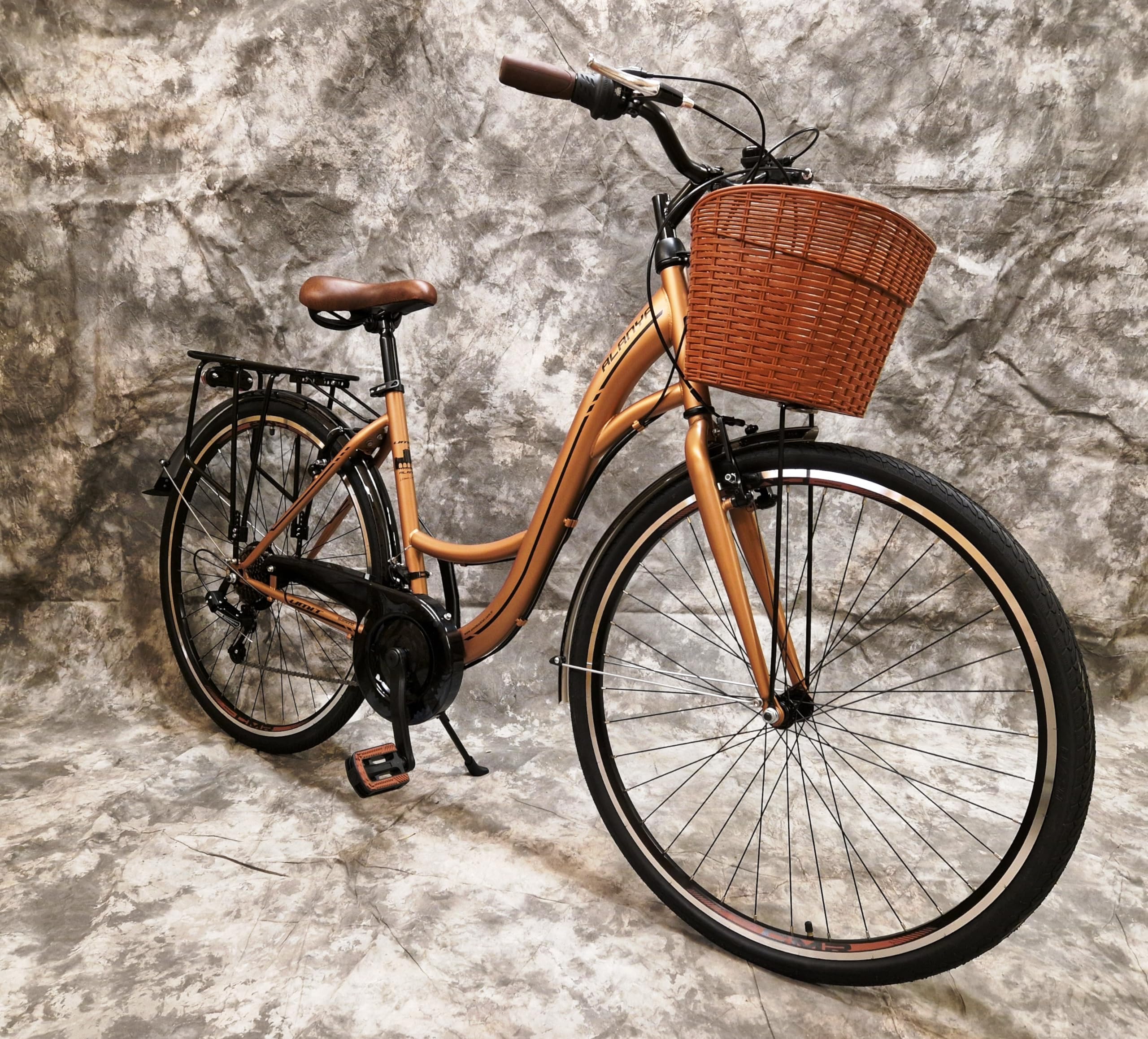 Generisch 28 Zoll Damencityrad 21-Gang Kettenschaltung, Gepäckträger und Korb NEU 2810-Gold Sport & Freizeit