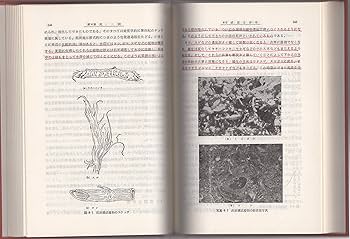 土質・基礎工学における有限要素法の適用 Amazon.co.jp: 日本の特殊土 （土質基礎工学ライブラリー10
