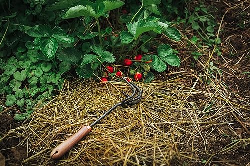 Vista 74 de Barebones Triangle Hoe - Cuchilla de acero inoxidable, herramientas de jardinería japonesas para deshierbar mango largo y azada de mano (Ash/Mint)