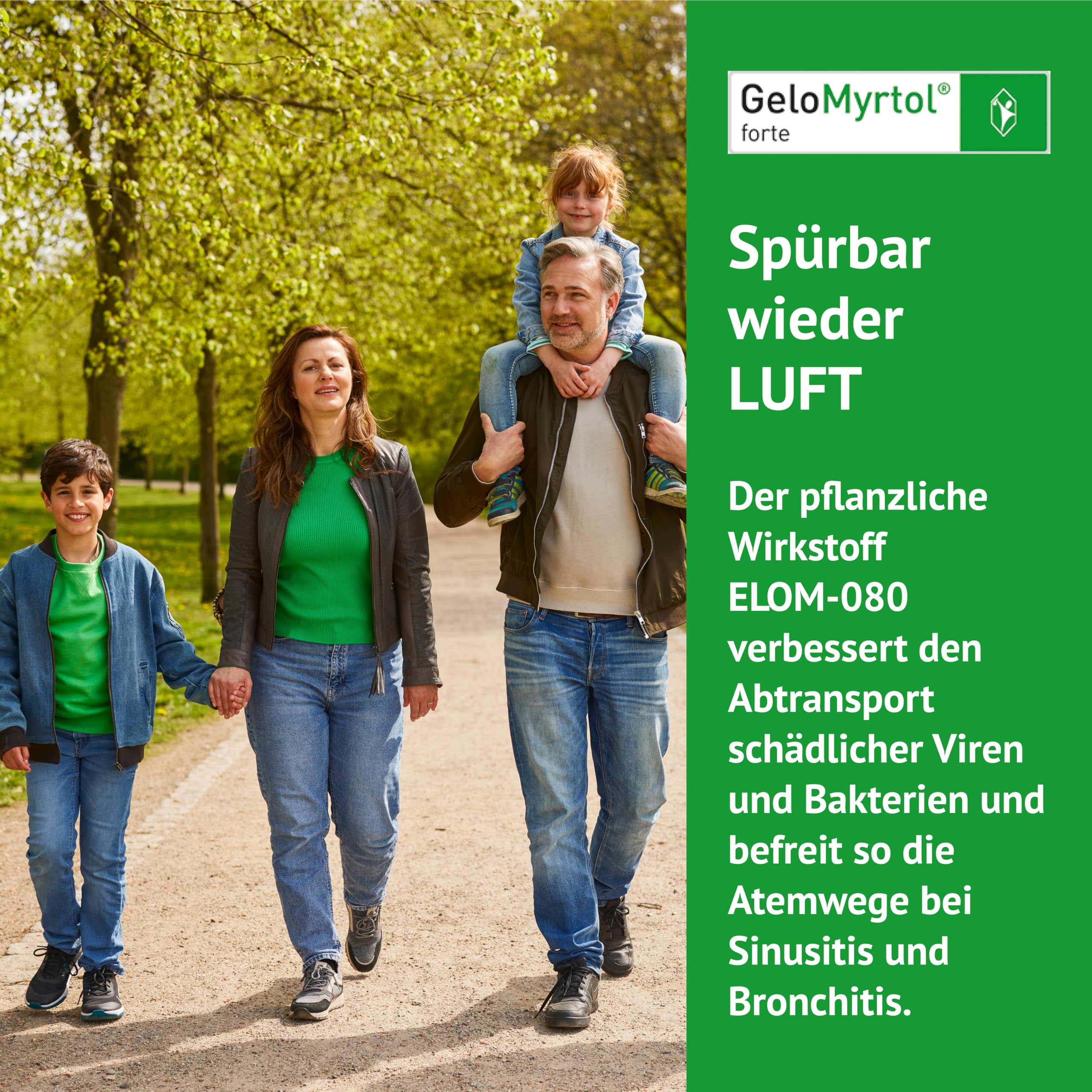 GeloMyrtol forte: Pflanzlicher Schleimlöser für akute und chronische Infektionen der oberen und unteren Atemwege mit Husten, Schnupfen und Druckkopfschmerz - ab 6 Jahren, 2 x 100 Kapseln