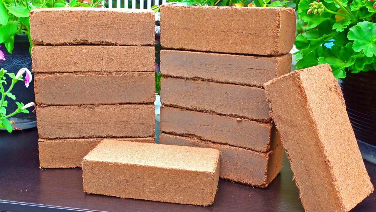 Amazon.com: Plantonix: Coco Coir