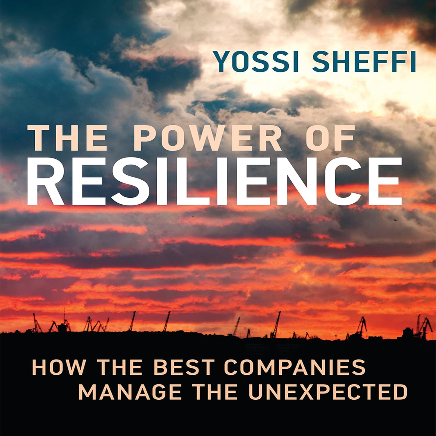 Amazon.com: The Power of Resilience: How the Best Companies Manage the ...