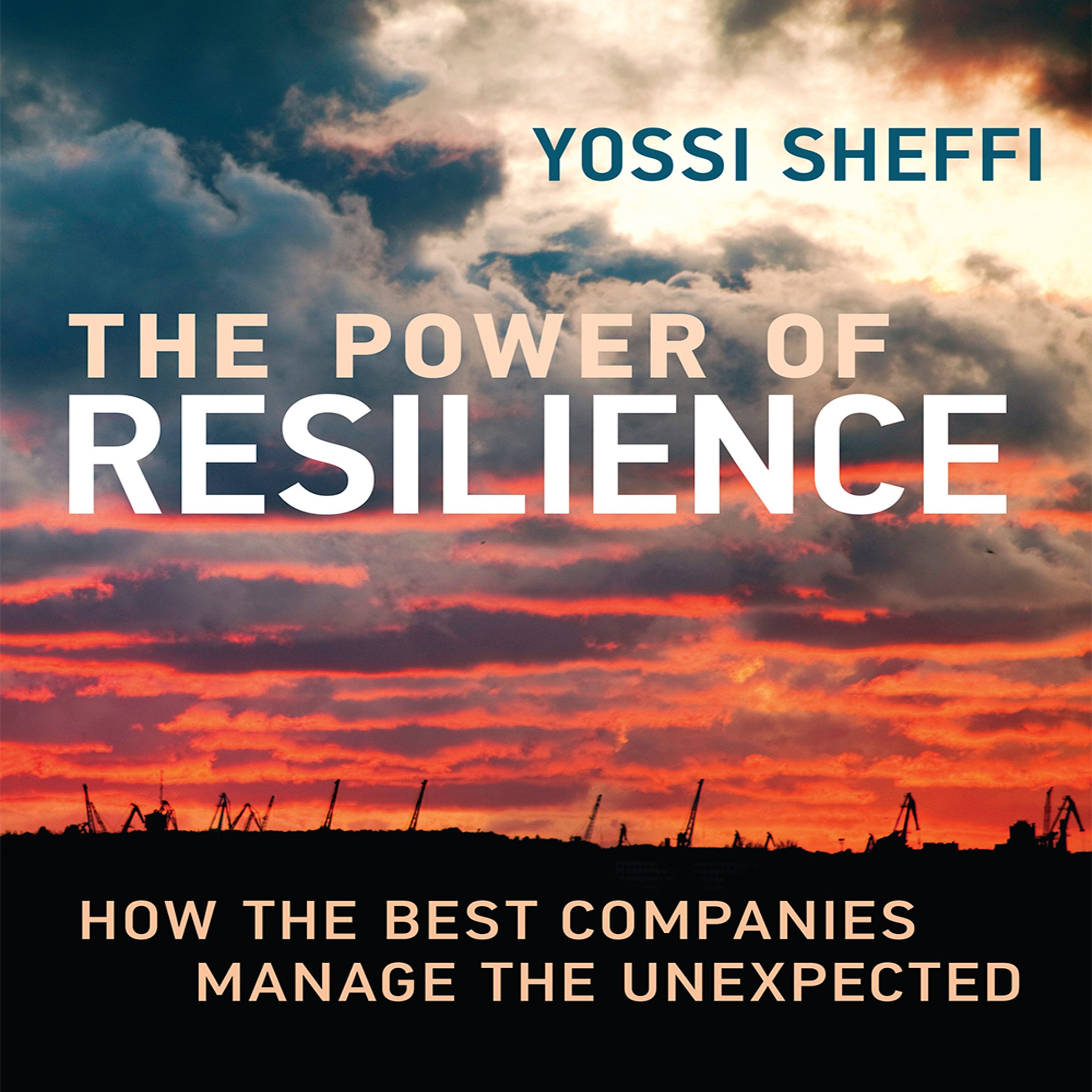 Cover art for The Power of Resilience