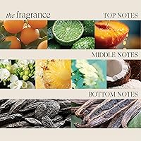 Vista 7 de L'ANZA Mascarilla curativa Moi Moi para el cabello, hidrata y refresca el cabello seco y grueso, rico en complejo codificador de bambú, sin