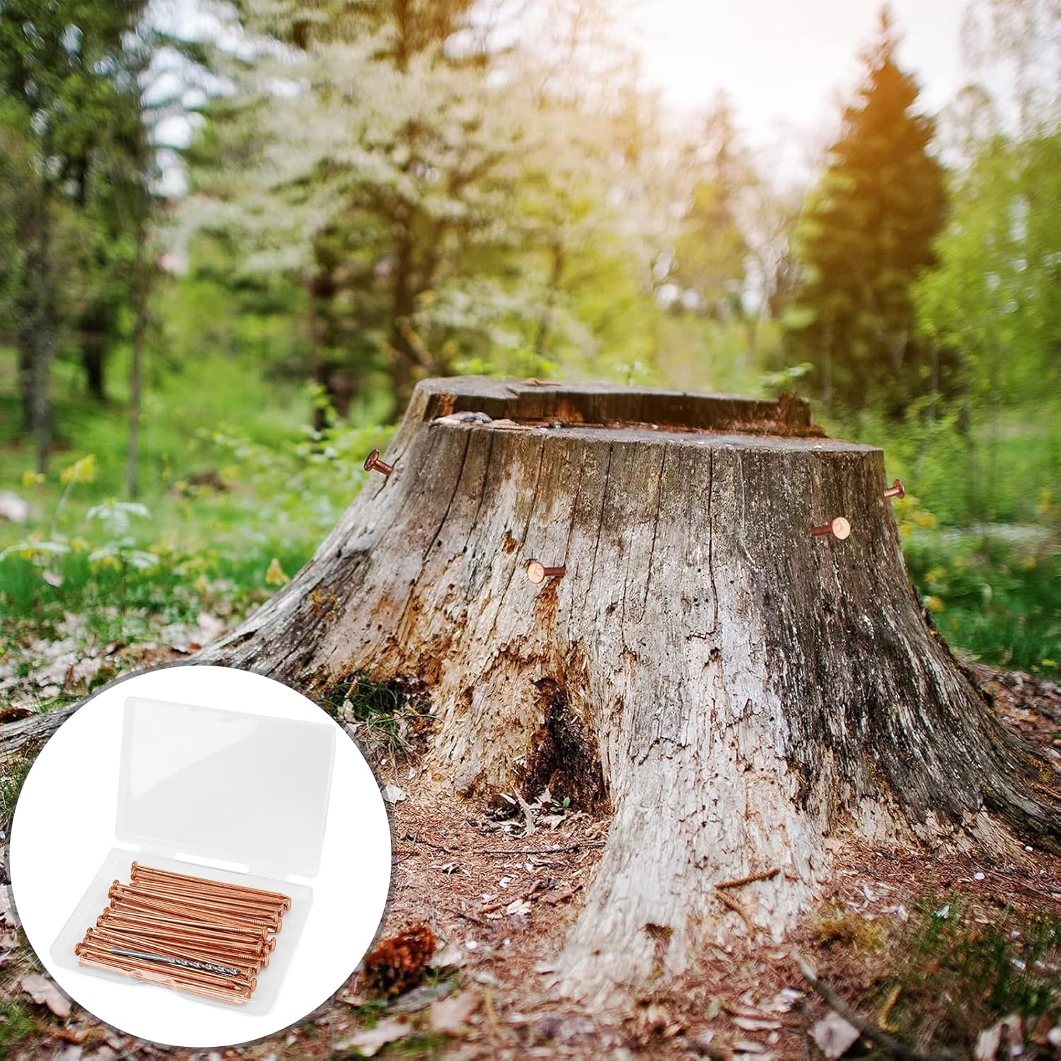 15Pcs 3.15 Inch Copper Nails for Killing Trees Tree Stump Killer Root Killer with Steel Drill Bit & Storage Box - Gold